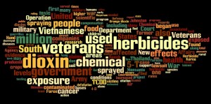 The majority of the words are Veterans, Chemical, and Herbicide